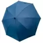 BLUE UMBRELLA