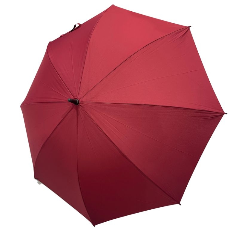 PLUM UMBRELLA