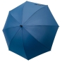 BLUE UMBRELLA