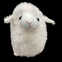 Souvenir Sheep 