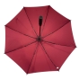 PLUM UMBRELLA