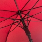 PLUM UMBRELLA